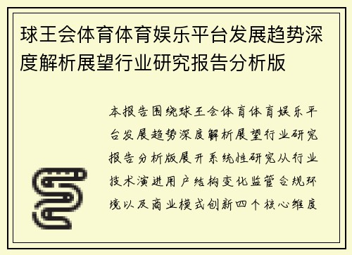球王会体育体育娱乐平台发展趋势深度解析展望行业研究报告分析版